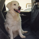 Mpow Pet Seat Cover for Dogs | $13 | Amazon